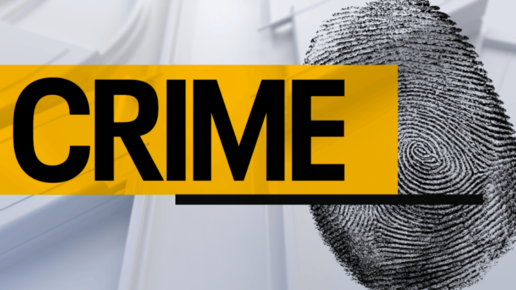 wdn-news-graphics-articles-header-81.png?w=1024