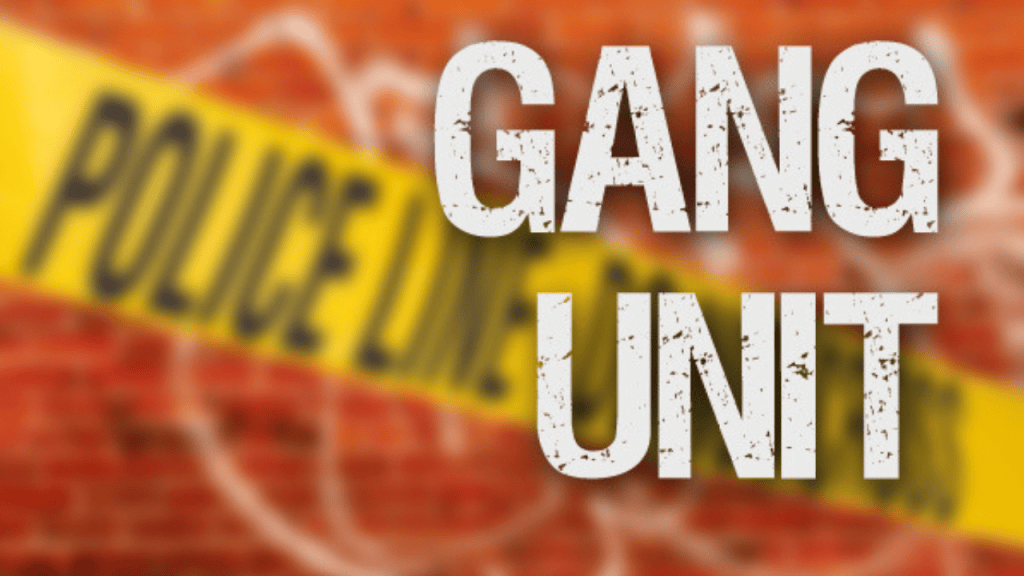 news-graphics-29.png?w=1024