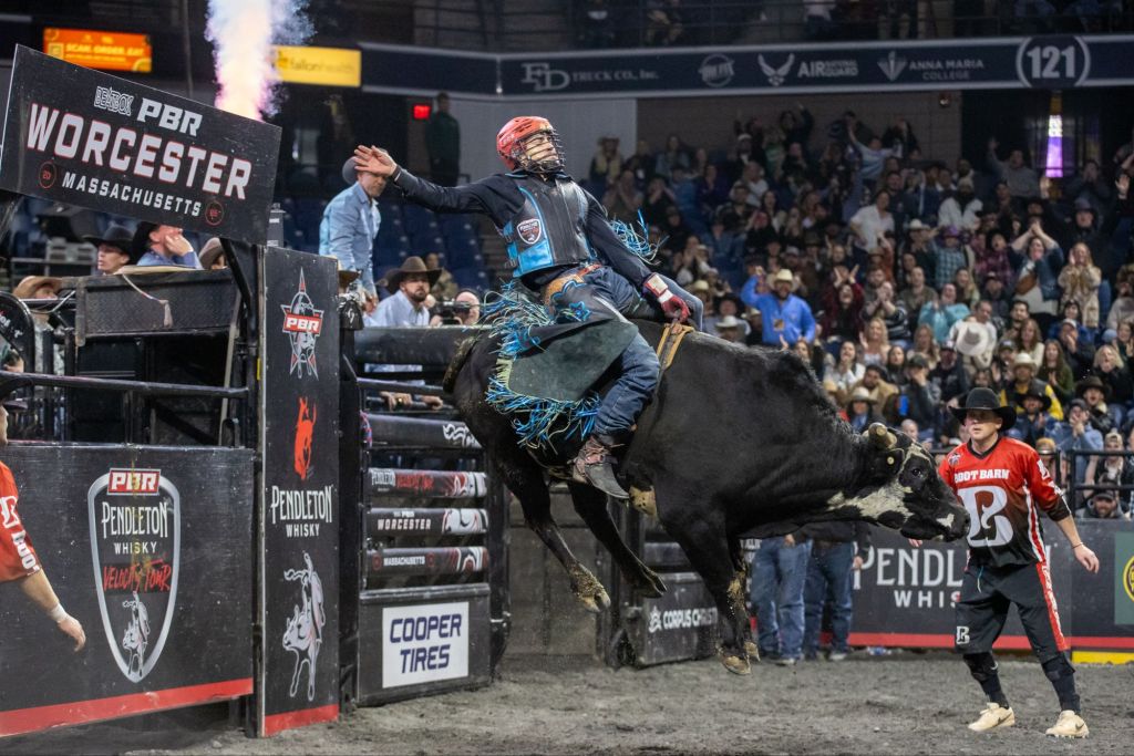 pbr-64666548779380101494335.jpg?w=1024
