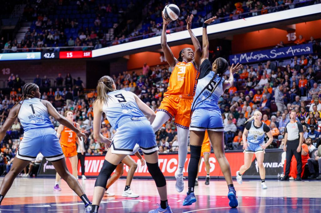 sunv696612004238544510.jpg?w=1024